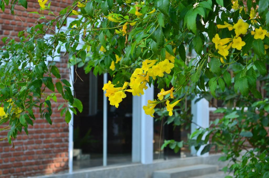 Vallee 69 Eco Villa-Tissa,Yala Tissamaharama Zewnętrze zdjęcie