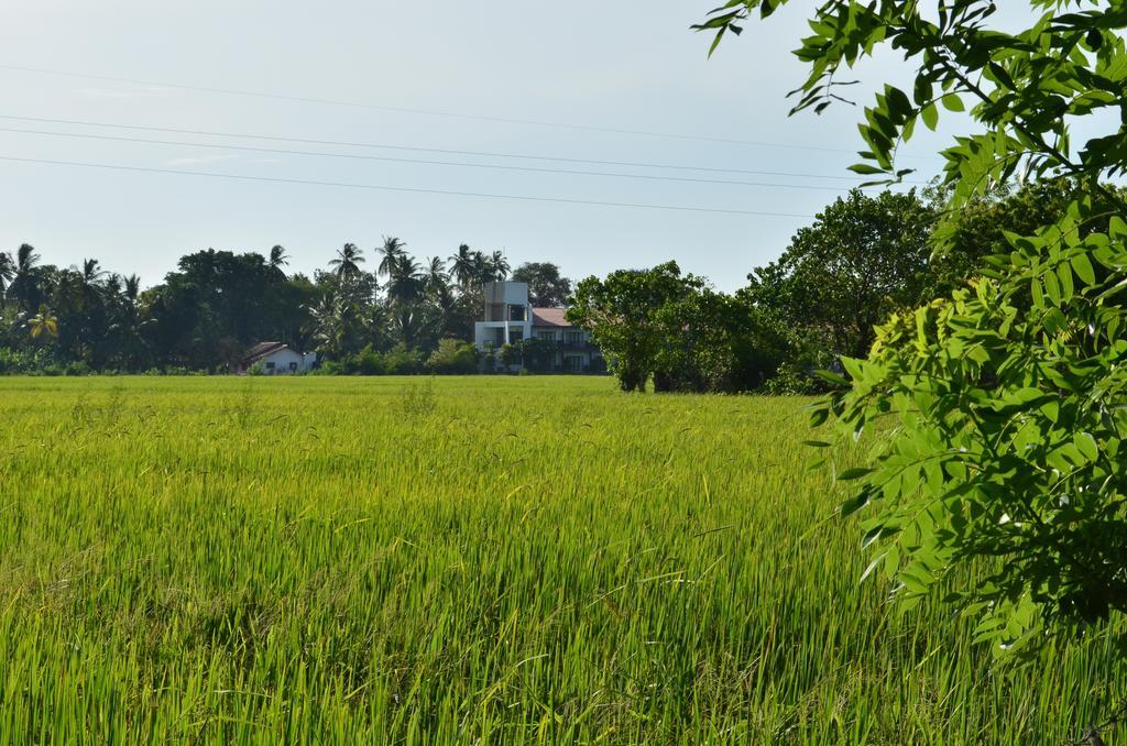Vallee 69 Eco Villa-Tissa,Yala Tissamaharama Zewnętrze zdjęcie