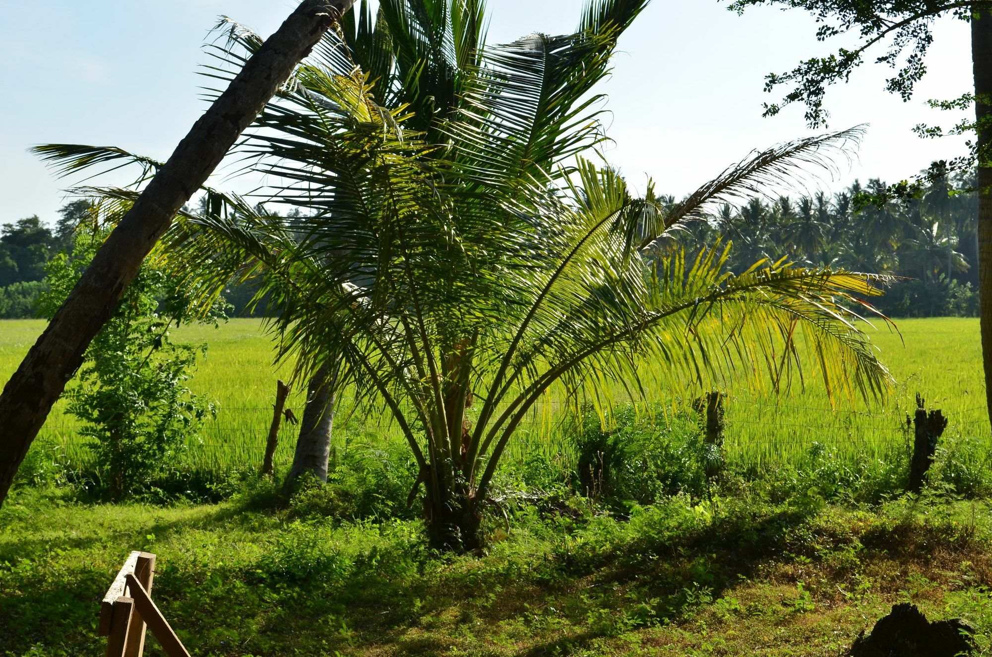 Vallee 69 Eco Villa-Tissa,Yala Tissamaharama Zewnętrze zdjęcie