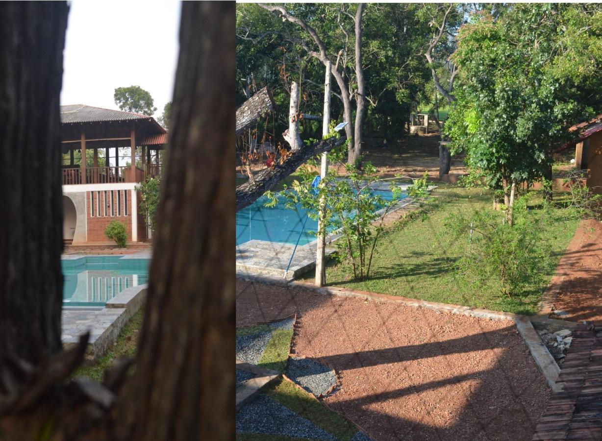 Vallee 69 Eco Villa-Tissa,Yala Tissamaharama Zewnętrze zdjęcie